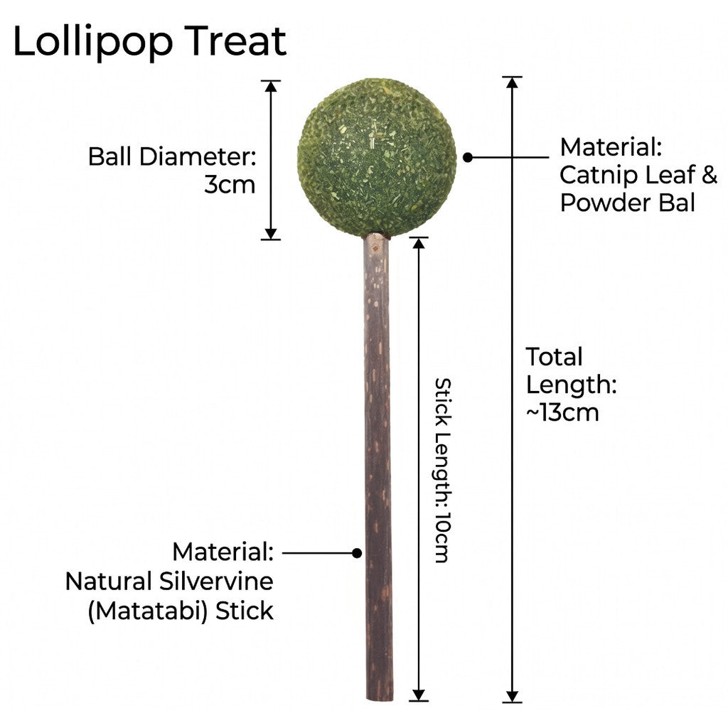 FUREVER365 Natural Catnip Lollipop Cat Toy Silvervine Stick Gall Fruit Molar Chew Toy Teeth Cleaning