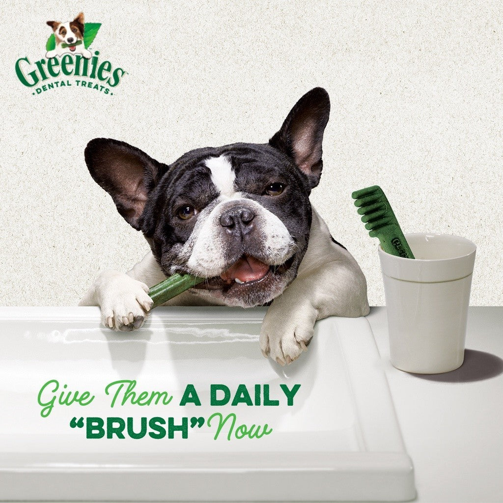 GREENIES Dental Dog Treats for Adult Dogs - Original Flavor 170g