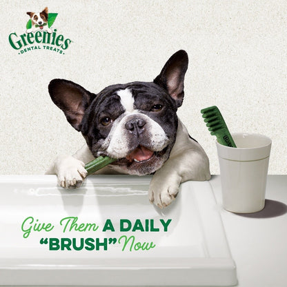 GREENIES Dental Dog Treats for Adult Dogs - Original Flavor 170g