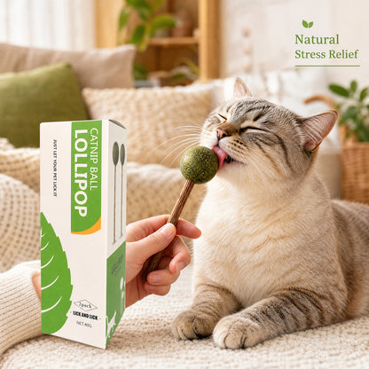 FUREVER365 Natural Catnip Lollipop Cat Toy Silvervine Stick Molar Chew Toy Lickable Kitten Teaser
