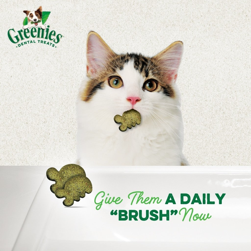 GREENIES Feline Dental Cat Treats for Adult Cats – All Flavor 60g