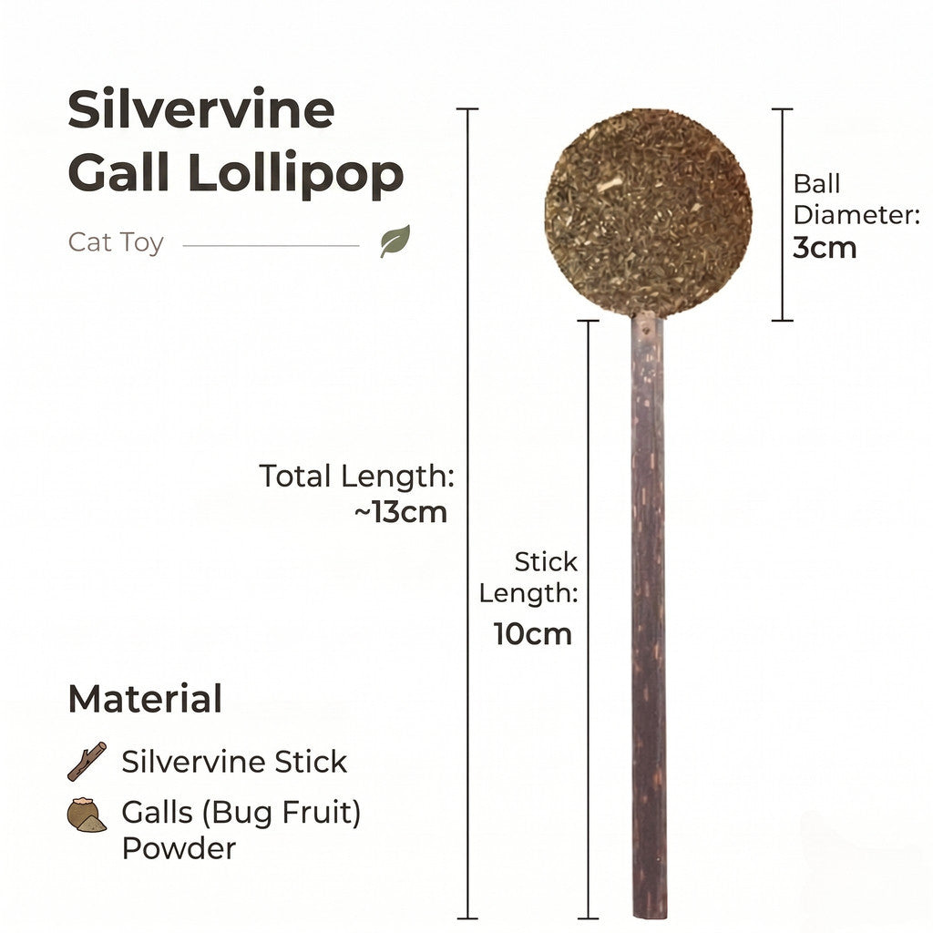 FUREVER365 Rotatable Catnip Ball Cat Toy Natural Silvervine Gall Fruit Molar Chew Toy Teeth Cleaning