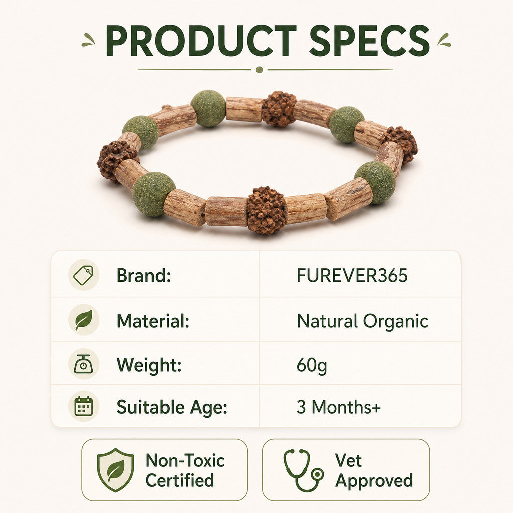 FUREVER365 Rotatable Catnip Ball Cat Toy Natural Silvervine Gall Fruit Molar Chew Toy Teeth Cleaning