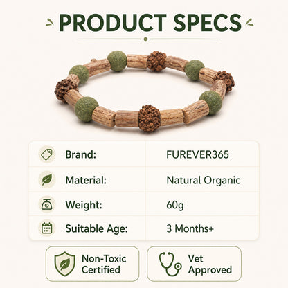 FUREVER365 Rotatable Catnip Ball Cat Toy Natural Silvervine Gall Fruit Molar Chew Toy Teeth Cleaning
