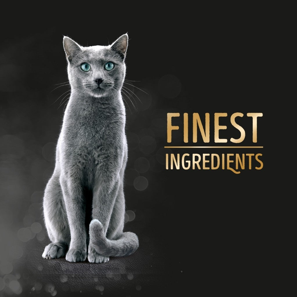 Sheba Melty Cat Treats Adult Cat - Choose Flavor 240g