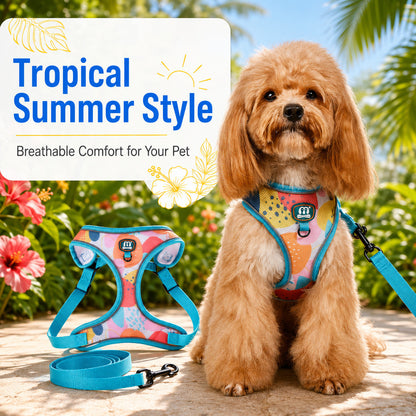 FUREVER365 Cute Blue Floral Pet Harness Leash Set Adjustable Cat Dog Vest Harness Walking Lead 2pcs