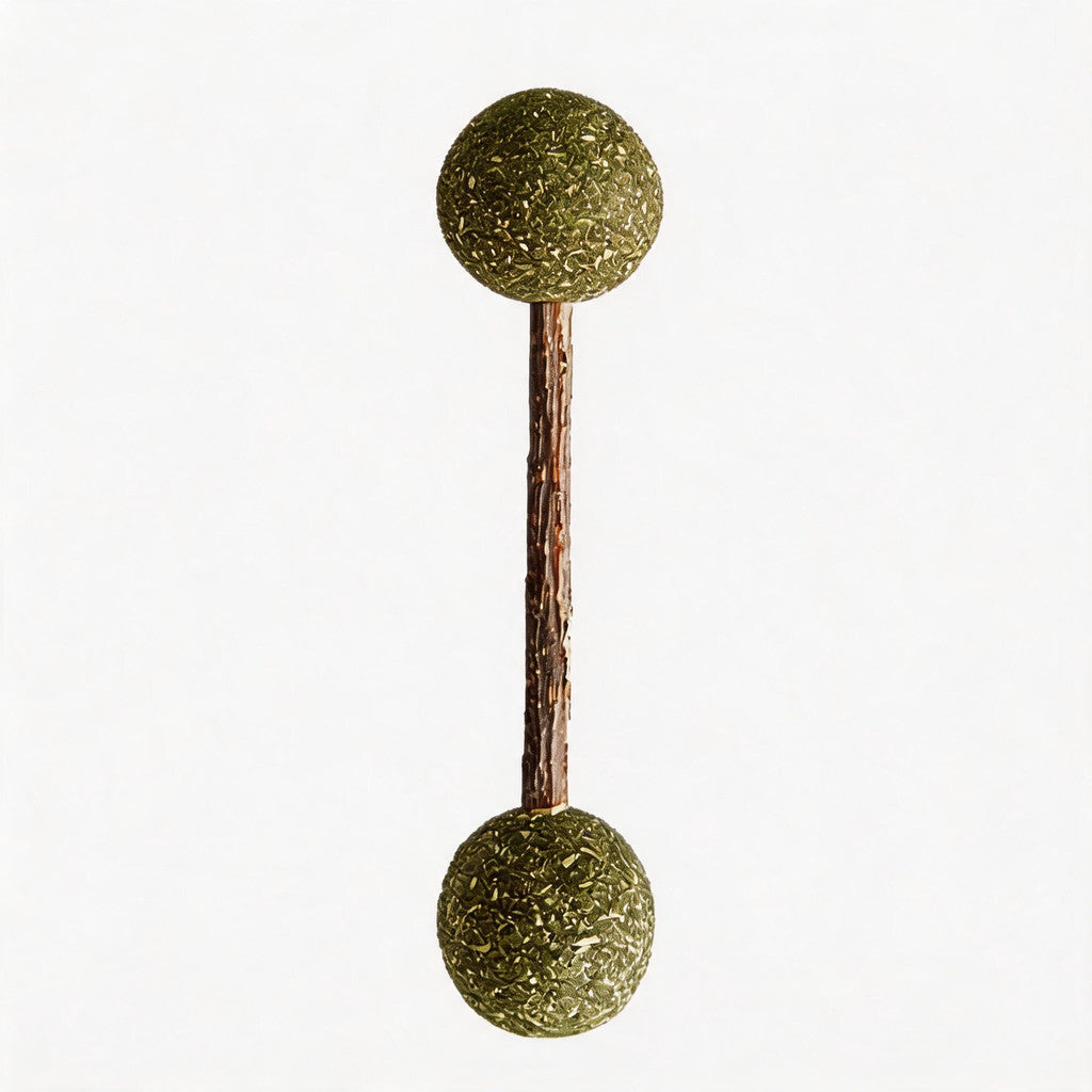FUREVER365 Rotatable Catnip Ball Cat Toy Natural Silvervine Gall Fruit Molar Chew Toy Teeth Cleaning