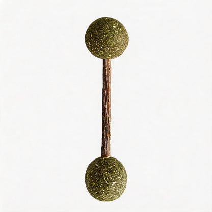 FUREVER365 Rotatable Catnip Ball Cat Toy Natural Silvervine Gall Fruit Molar Chew Toy Teeth Cleaning