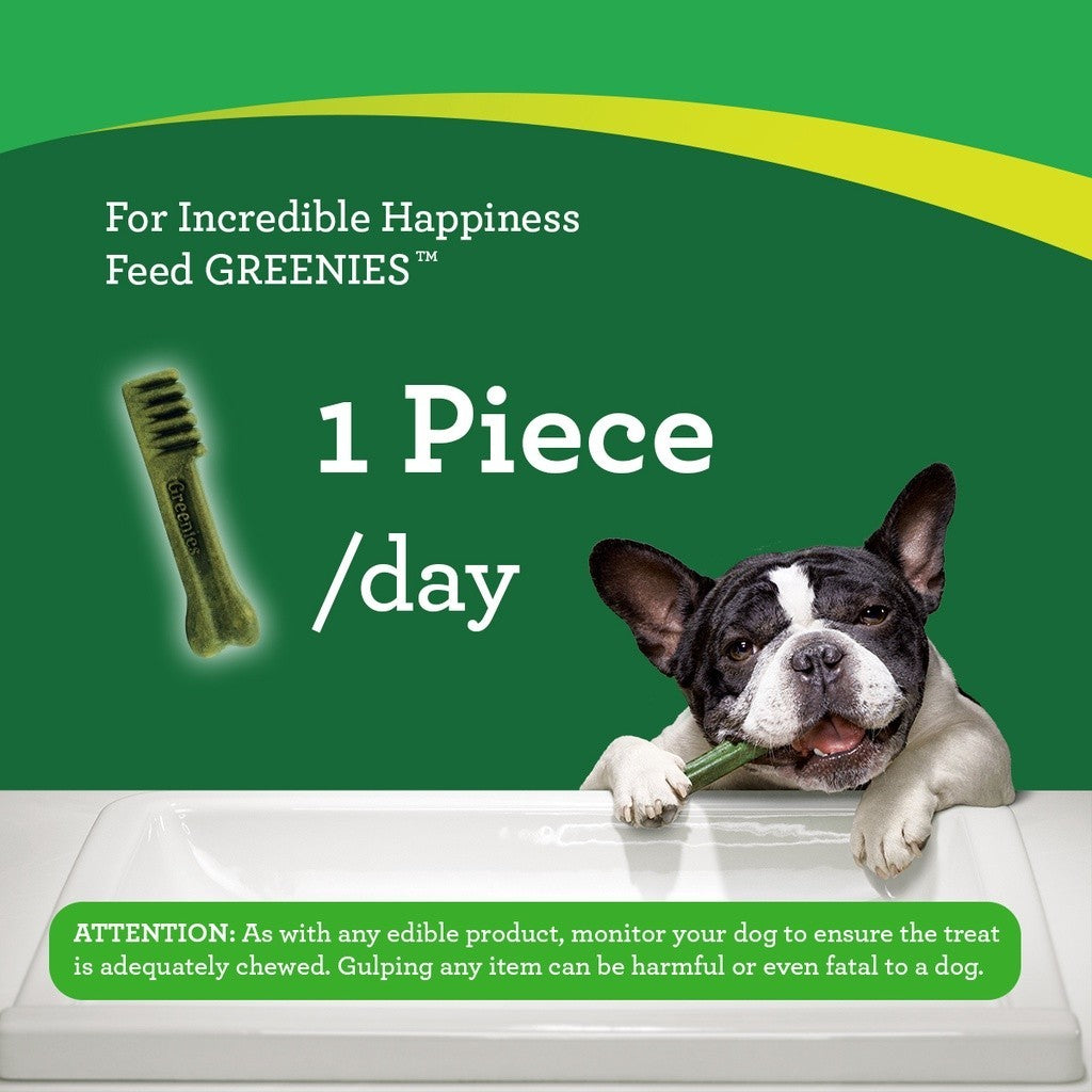 GREENIES Dental Dog Treats for Adult Dogs - Original Flavor 170g