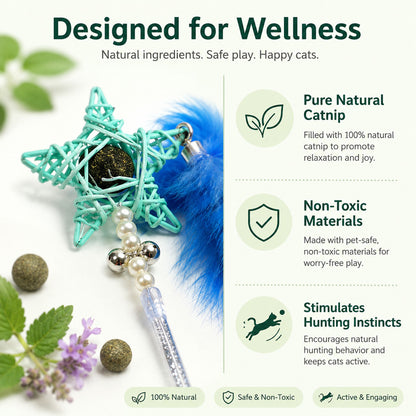FUREVER365 Retractable Cat Teaser Wand with Star Catnip Ball & Bell Feather Toy Crystal Handle Kitten