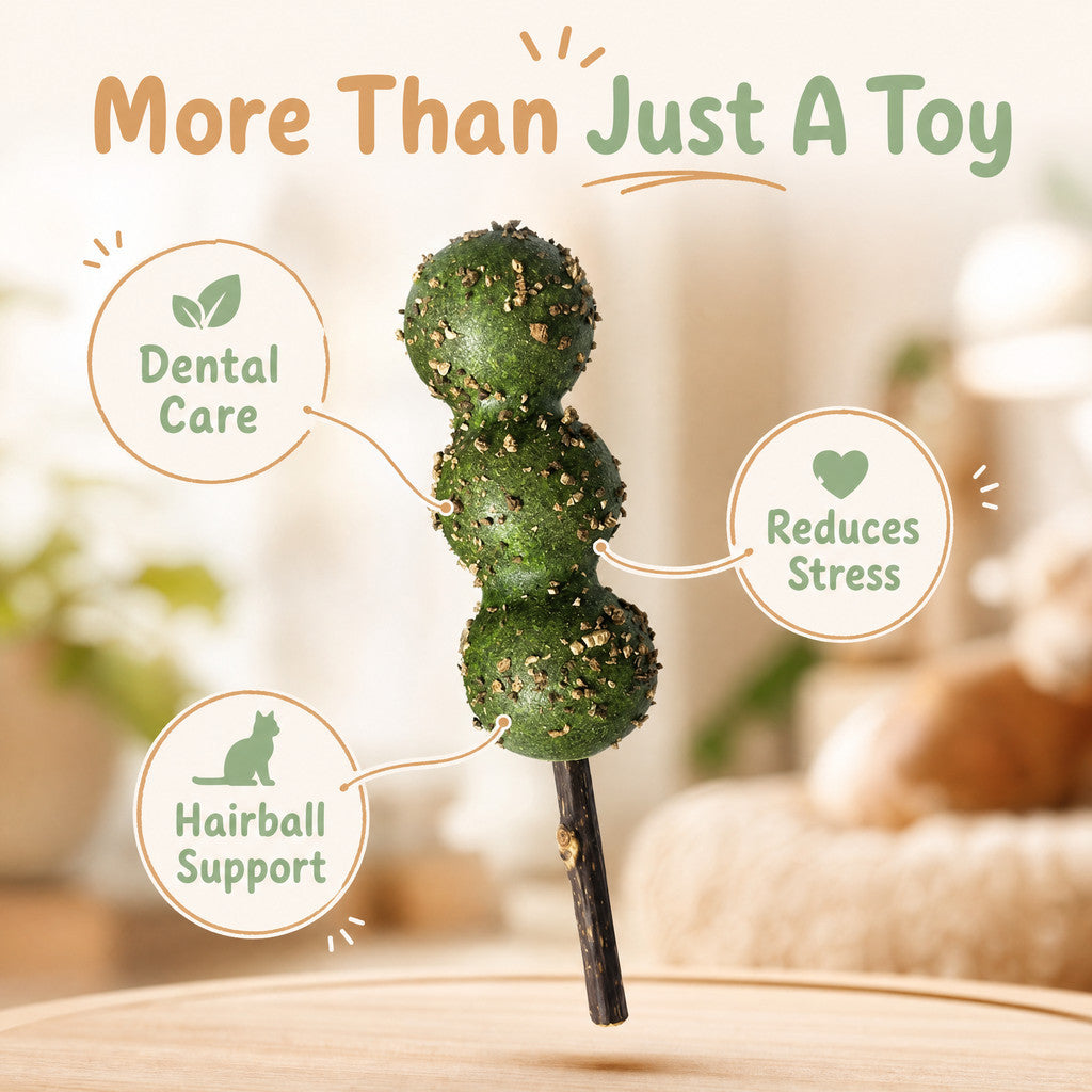 FUREVER365 Natural Catnip Tanghulu Cat Toy Silvervine Stick Gall Fruit Molar Chew Toy Teeth Cleaning