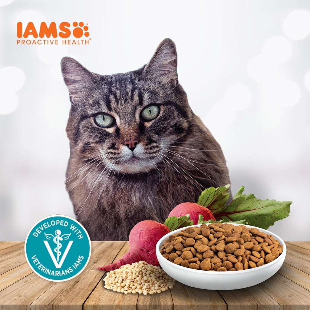 IAMS Dry Cat Food For Adult Cat - Mother & Kitten / Tuna & Salmon / Chicken / Indoor & Hairball Care 3kg