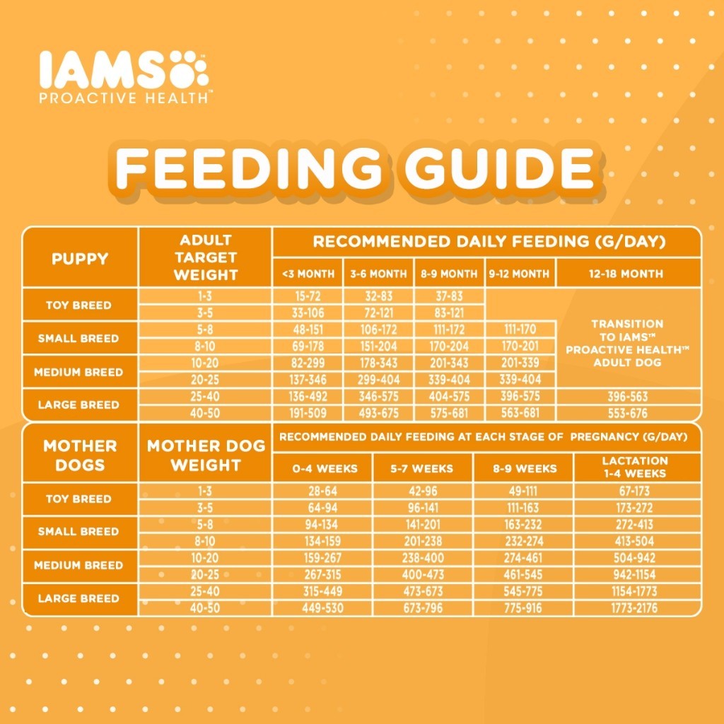 IAMS Dry Dog Food - Small Breed / Adult Dog / Mother & Puppy 3kg