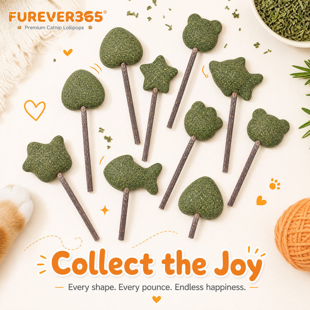FUREVER365 Natural Catnip Lollipop Cat Toy Silvervine Stick Gall Fruit Molar Chew Toy Teeth Cleaning