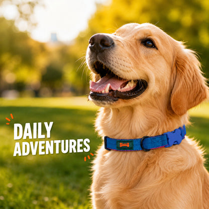 FUREVER365 Premium Dog Collar Adjustable Breathable Webbing Collar 1.5cm Width (30-37cm) Collar ONLY