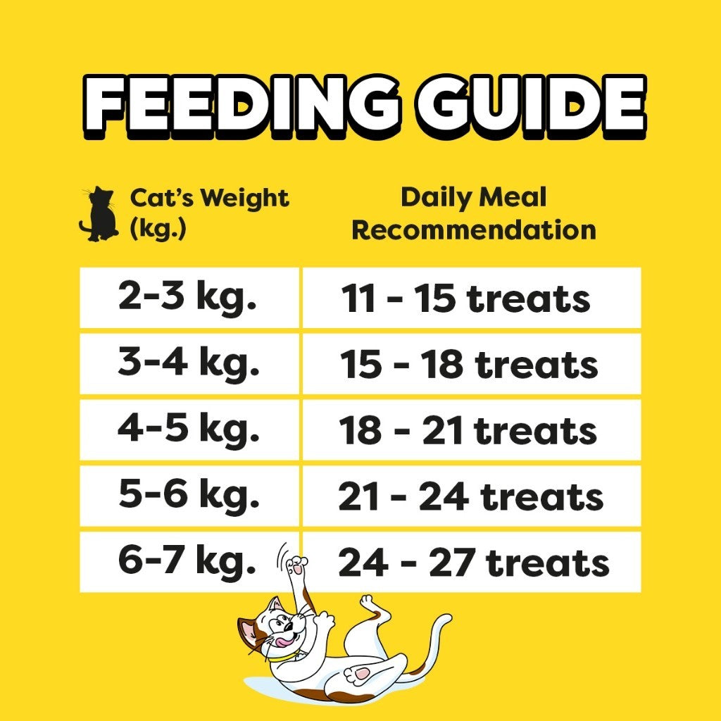 TEMPTATIONS Cat Treats Pockets & Mix Ups - All Flavors 75g