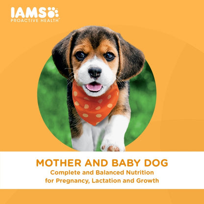 IAMS Dry Dog Food - Small Breed / Adult Dog / Mother & Puppy 3kg