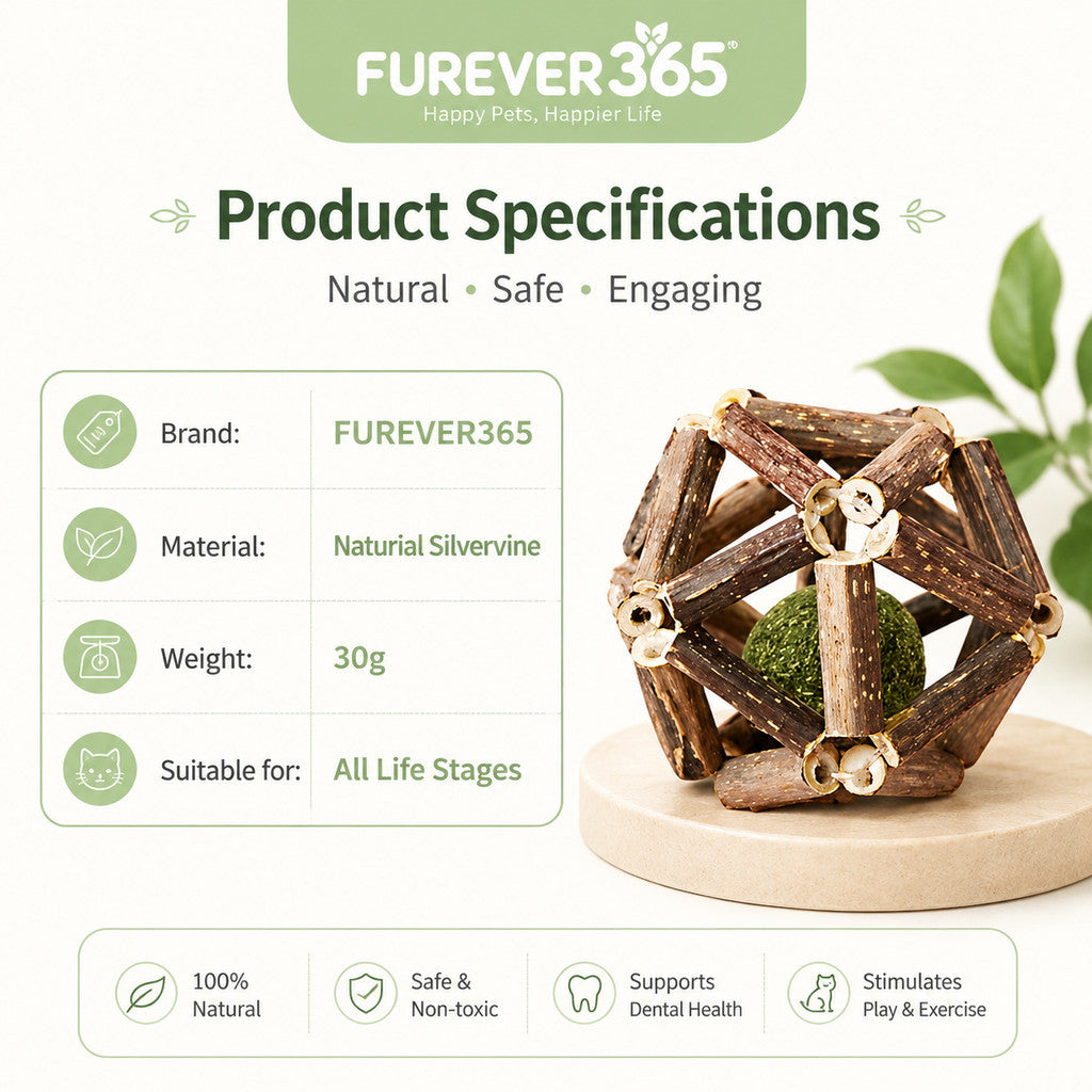 FUREVER365 Natural Silvervine Catnip Ball Cat Toy Gall Fruit Molar Chew Ball Bell Interactive Kitten