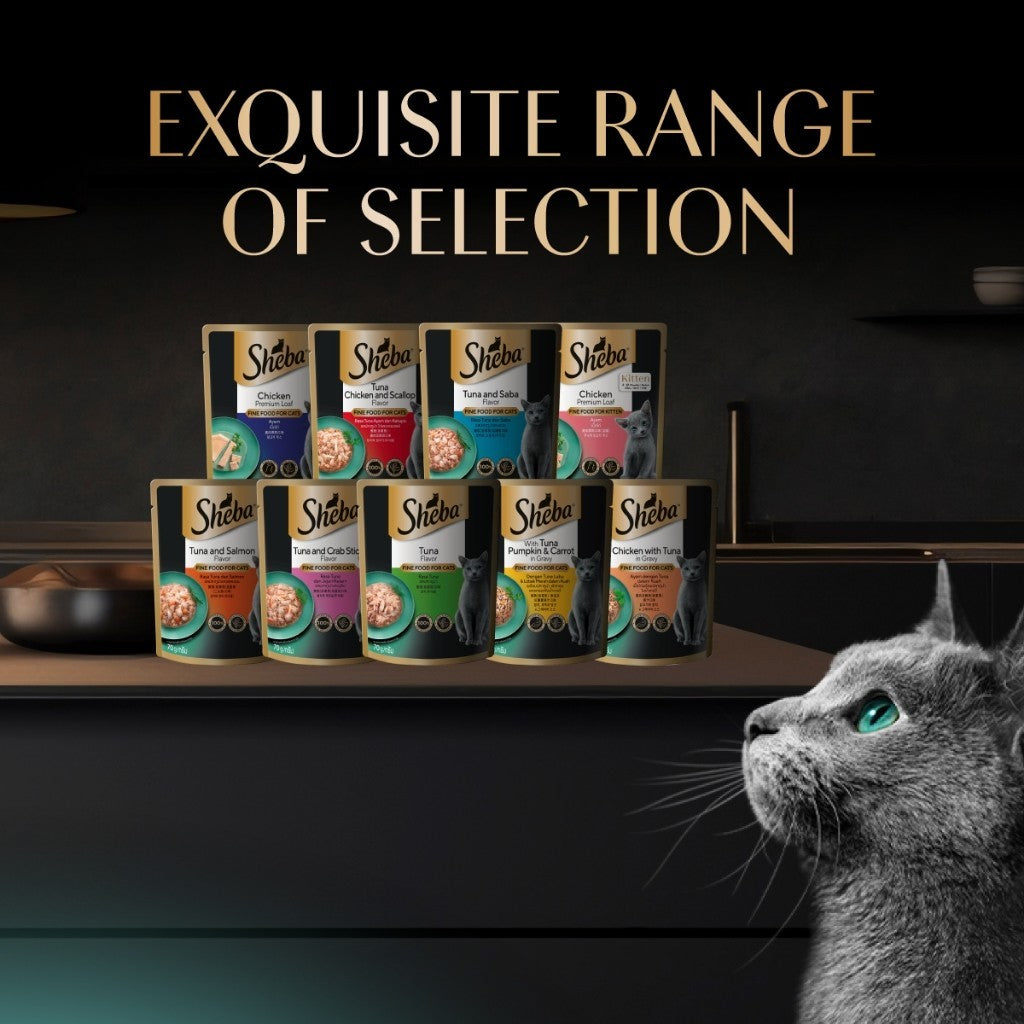 SHEBA Wet Cat Food for Adult and Kitten - All Flavors - 70g per Pack