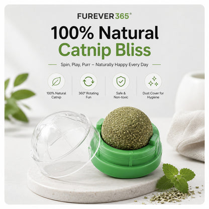 FUREVER365 Natural Catnip Ball Toy Rotating Silvervine Wall Stick-on Cat Lick Fun Gall Fruit Molar