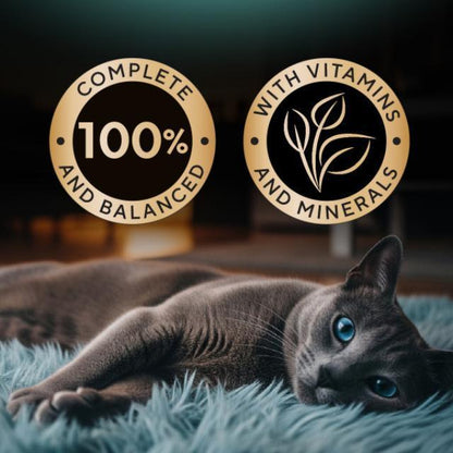 Value Pack (6 Packs) SHEBA Wet Cat Food for Adult - All Flavors - 70g x 6