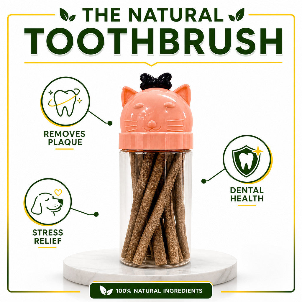 FUREVER365 Bottled Catnip Silvervine Stick Cat Toy Gall Fruit Molar Chew Stick Natural Cat Snack