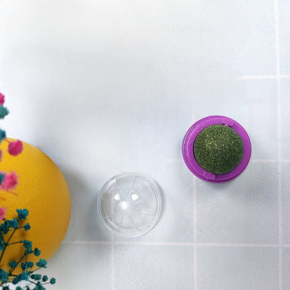 FUREVER365 Natural Catnip Ball Toy Rotating Silvervine Wall Stick-on Cat Lick Fun Gall Fruit Molar