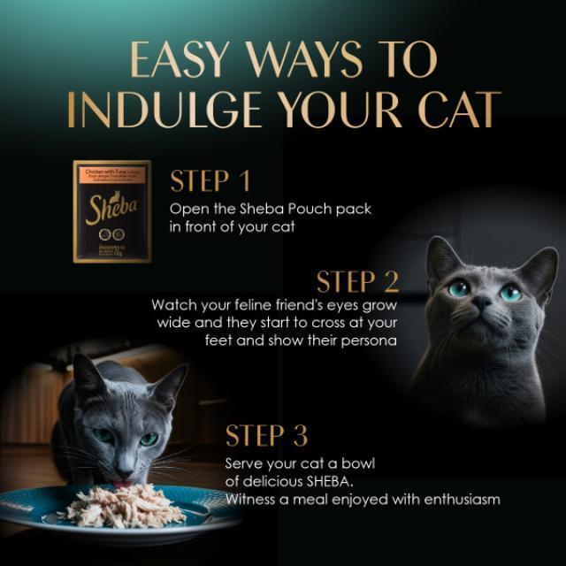 Value Pack (6 Packs) SHEBA Wet Cat Food for Adult - All Flavors - 70g x 6