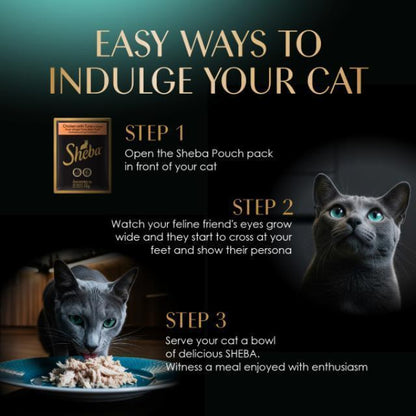 Value Pack (6 Packs) SHEBA Wet Cat Food for Adult - All Flavors - 70g x 6