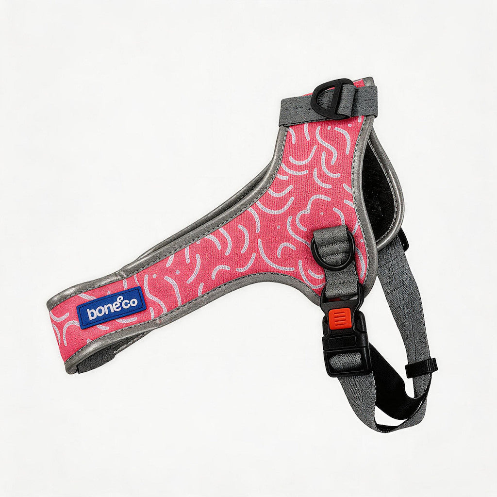 FUREVER365 Night Reflective Pet Harness No-Pull Mesh Dog Vest U-Shape Adjustable Chest Strap Leash