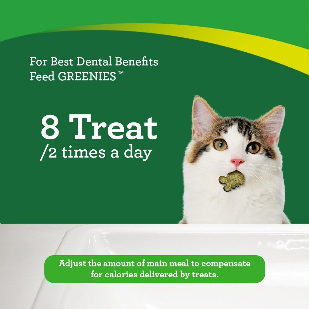 GREENIES Feline Dental Cat Treats for Adult Cats – All Flavor 60g