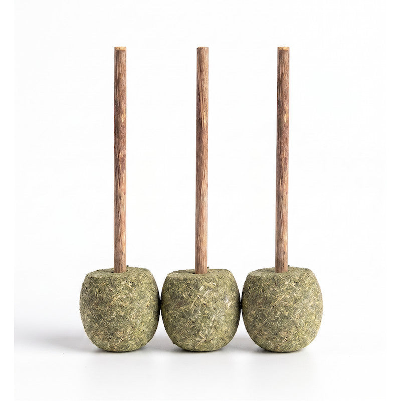 FUREVER365 Natural Catnip Lollipop Cat Toy Silvervine Stick Gall Fruit Molar Chew Toy Teeth Cleaning