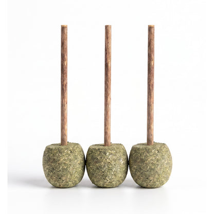 FUREVER365 Natural Catnip Lollipop Cat Toy Silvervine Stick Gall Fruit Molar Chew Toy Teeth Cleaning
