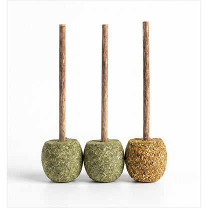 FUREVER365 Natural Catnip Lollipop Cat Toy Silvervine Stick Gall Fruit Molar Chew Toy Teeth Cleaning