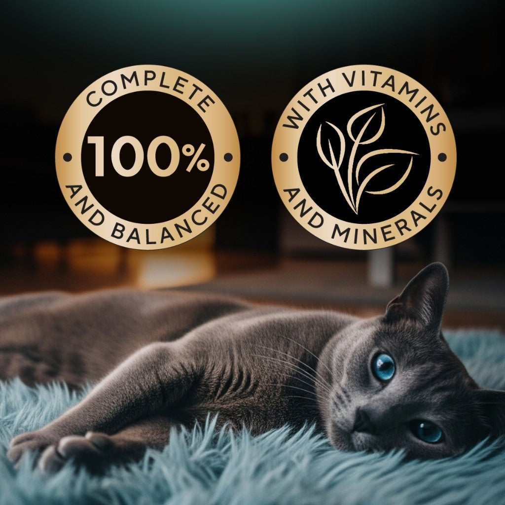 SHEBA Wet Cat Food for Adult and Kitten - All Flavors - 70g per Pack