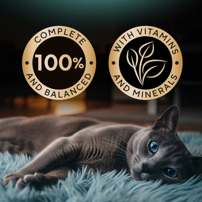 SHEBA Wet Cat Food for Adult and Kitten - All Flavors - 70g per Pack