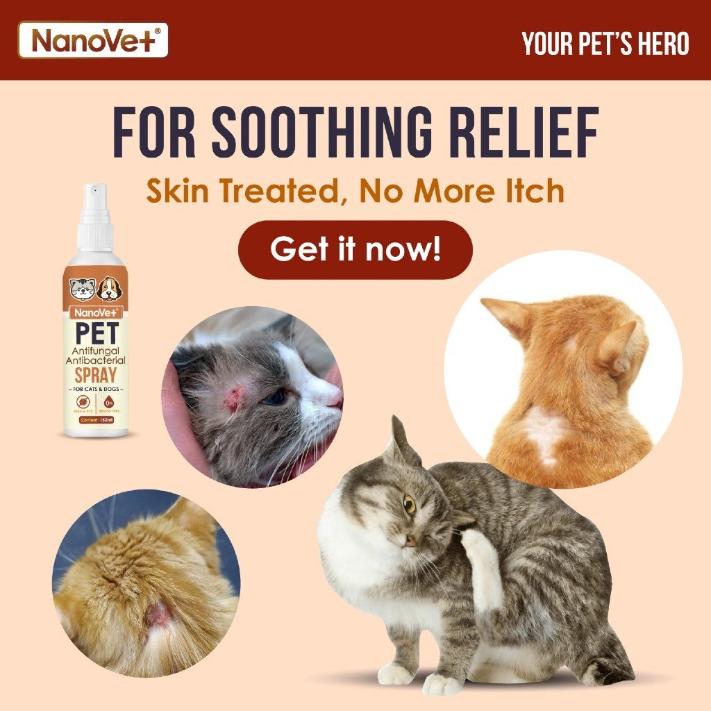 Nanovet® Pet Nanosilver Antifungal and Antibacterial Spray for Cat and Dog