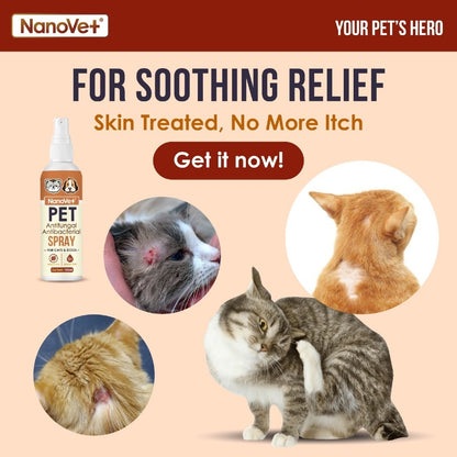 Nanovet® Pet Nanosilver Antifungal and Antibacterial Spray for Cat and Dog