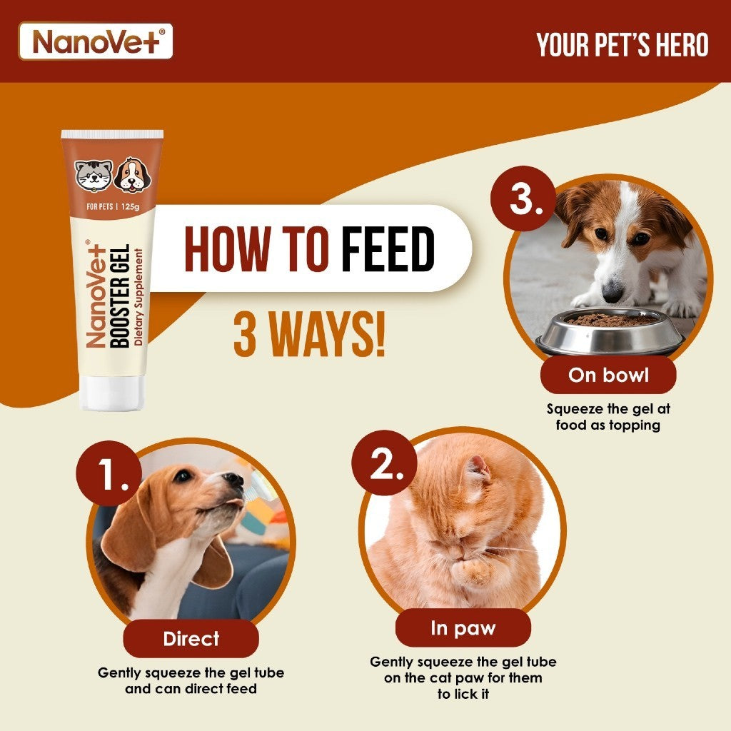 Nanovet® Pet Booster Gel for Cat and Dog (125gm)
