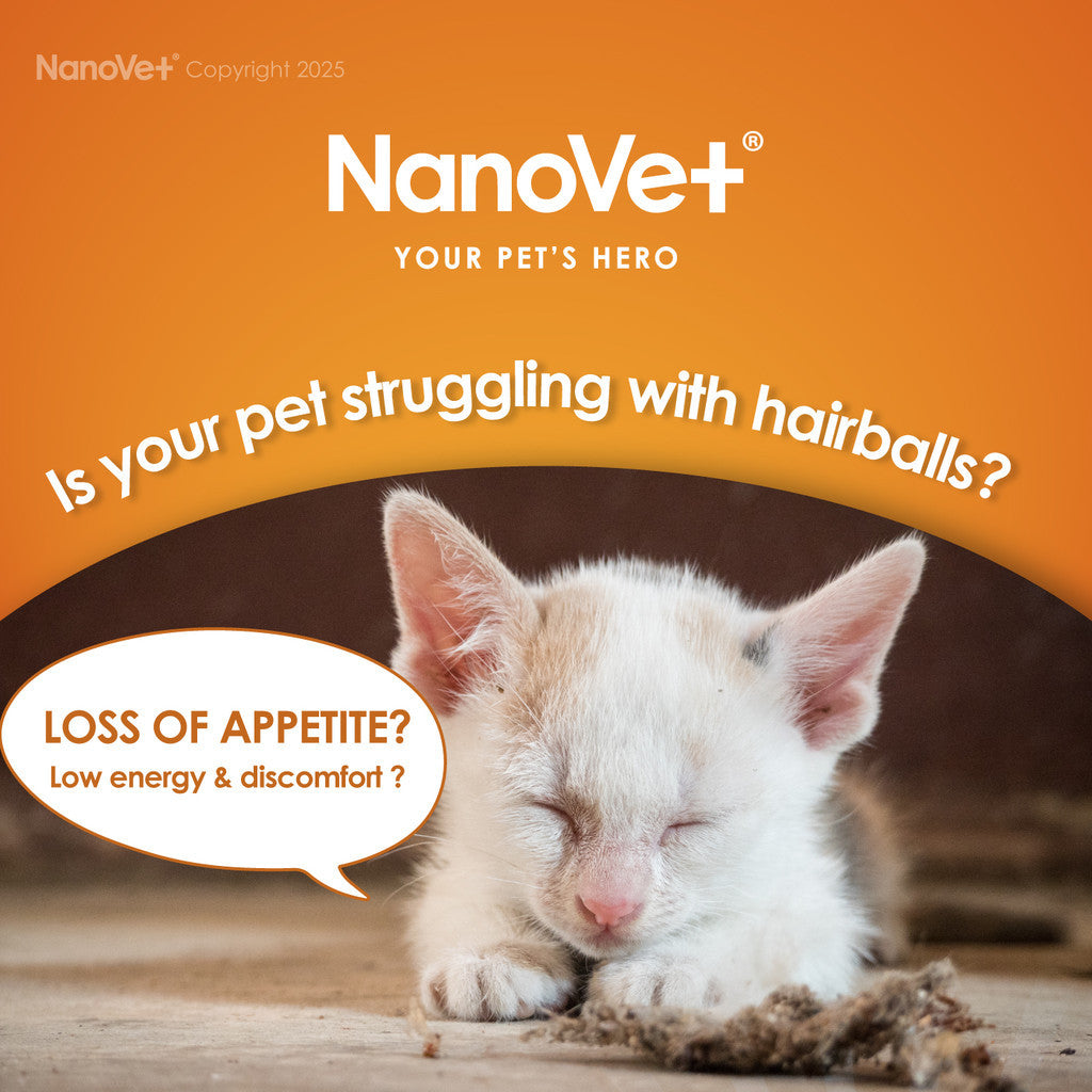 Nanovet® Pet Hairball Remedy Gel for Cat (125gm)