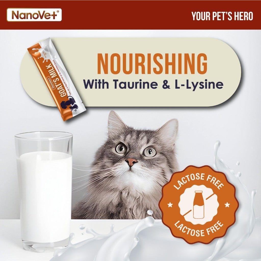 Nanovet® Pet Goat's Milk with Probiotic and Prebiotic Sachet for Cat and Dog (3gm)