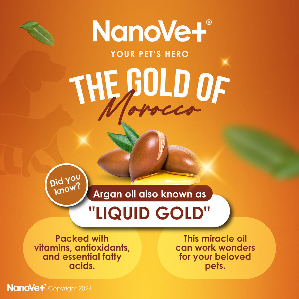 Nanovet® Pet Pure Argan Oil for Cat and Dog (50ml)
