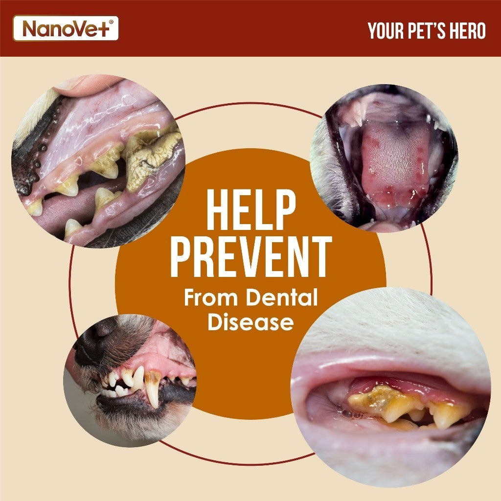Nanovet® Pet Dental Mouth Spray for Cat and Dog (60ml)