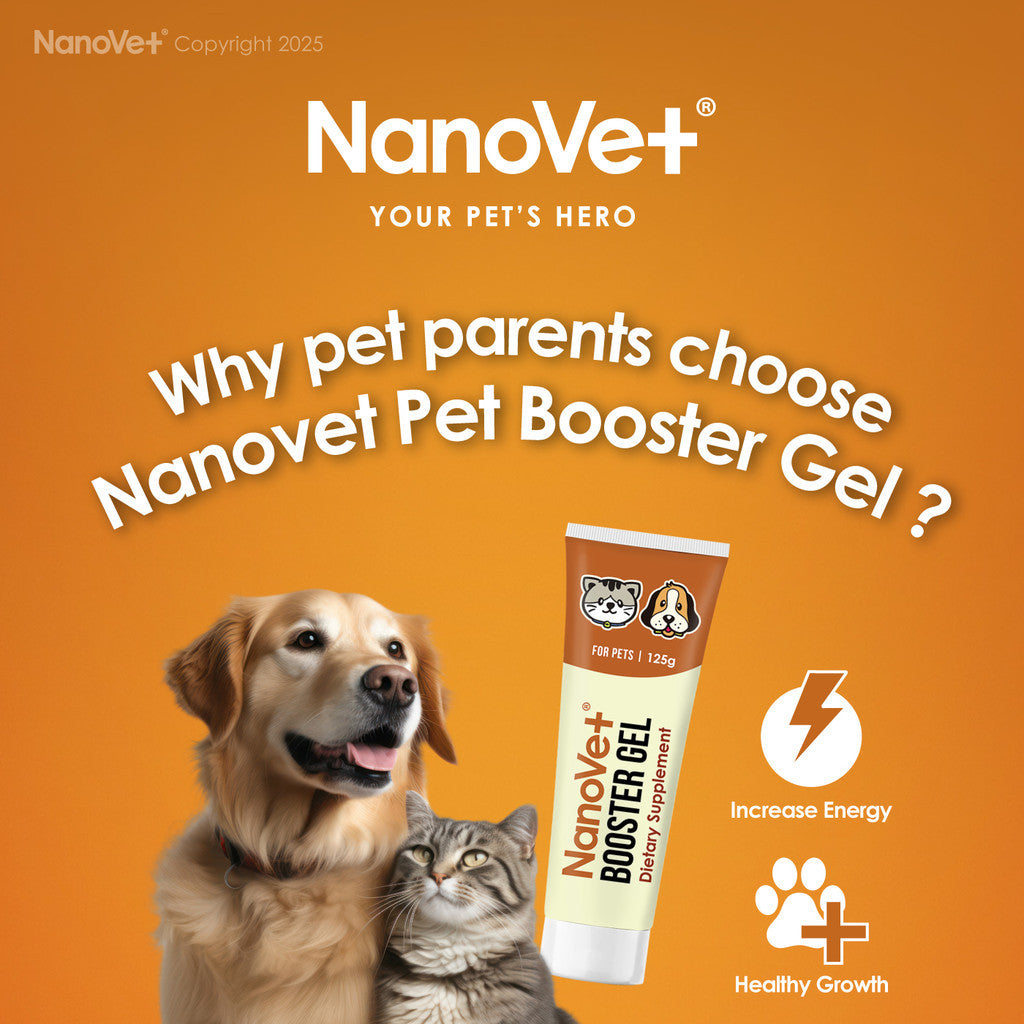 Nanovet® Pet Booster Gel for Cat and Dog (125gm)