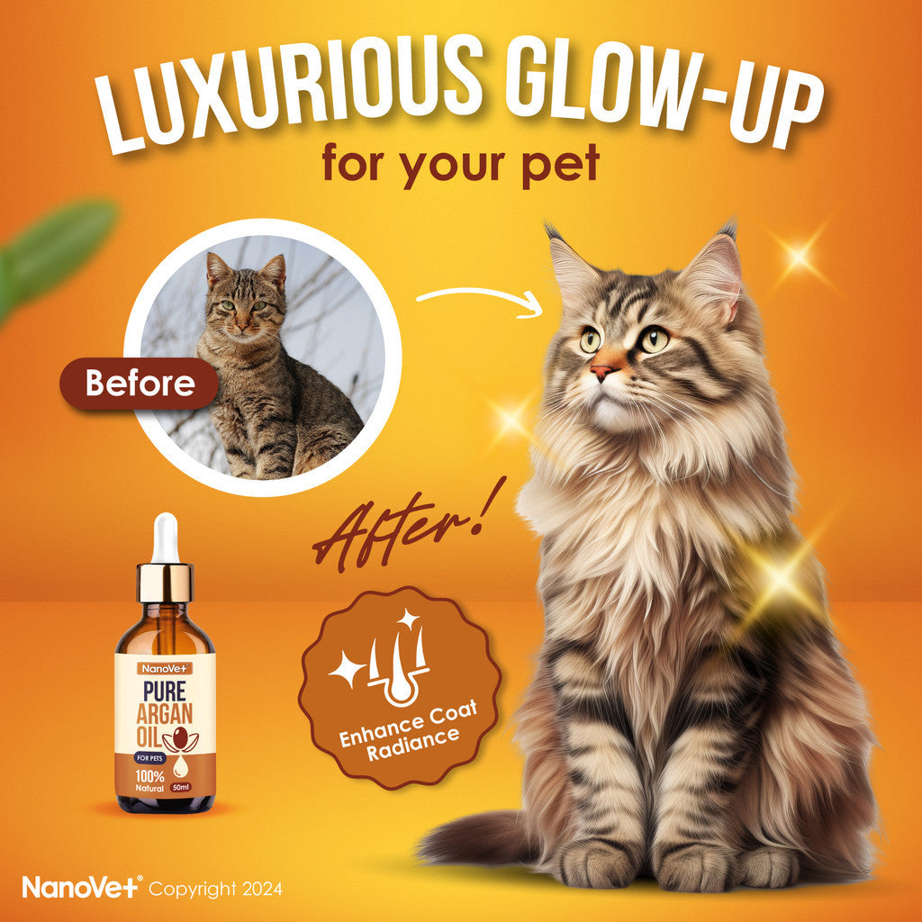Nanovet® Pet Pure Argan Oil for Cat and Dog (50ml)