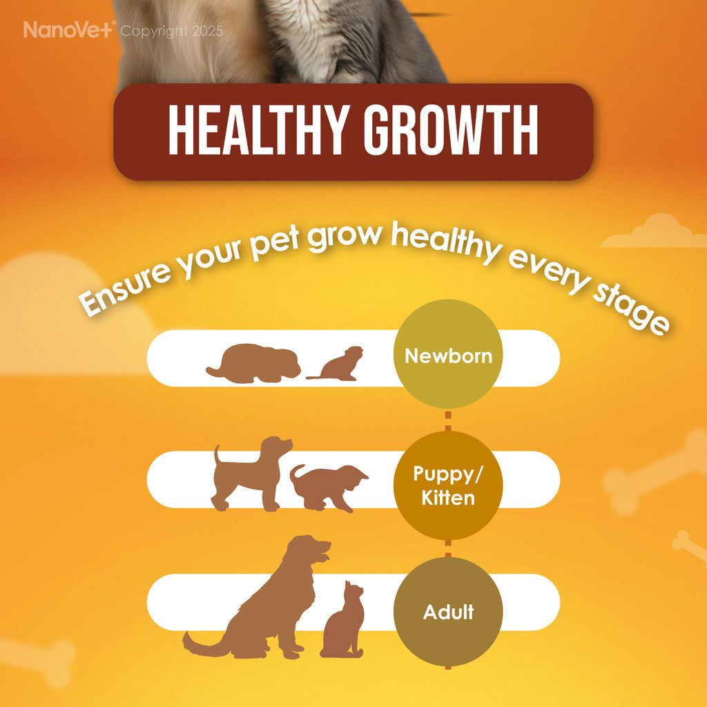 Nanovet® Pet Booster Gel for Cat and Dog (125gm)