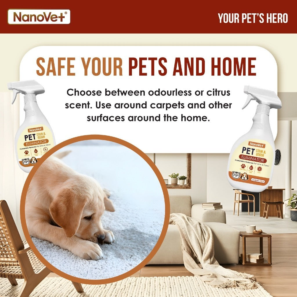 Nanovet® Pet Stain Urine and Odour Eliminator for Cat and Dog