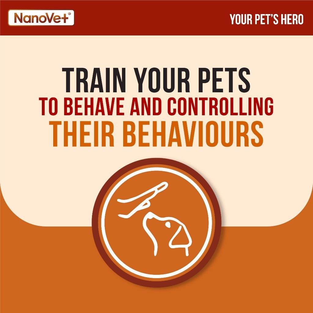 Nanovet® Cat and Dog Repellent Spray (500ml)