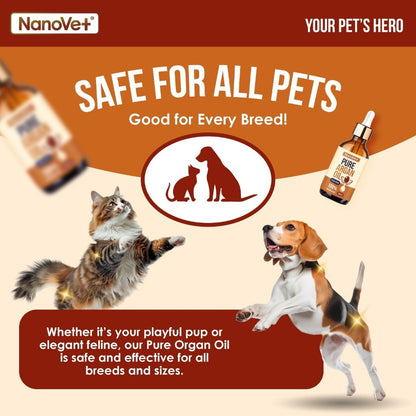 Nanovet® Pet Pure Argan Oil for Cat and Dog (50ml)
